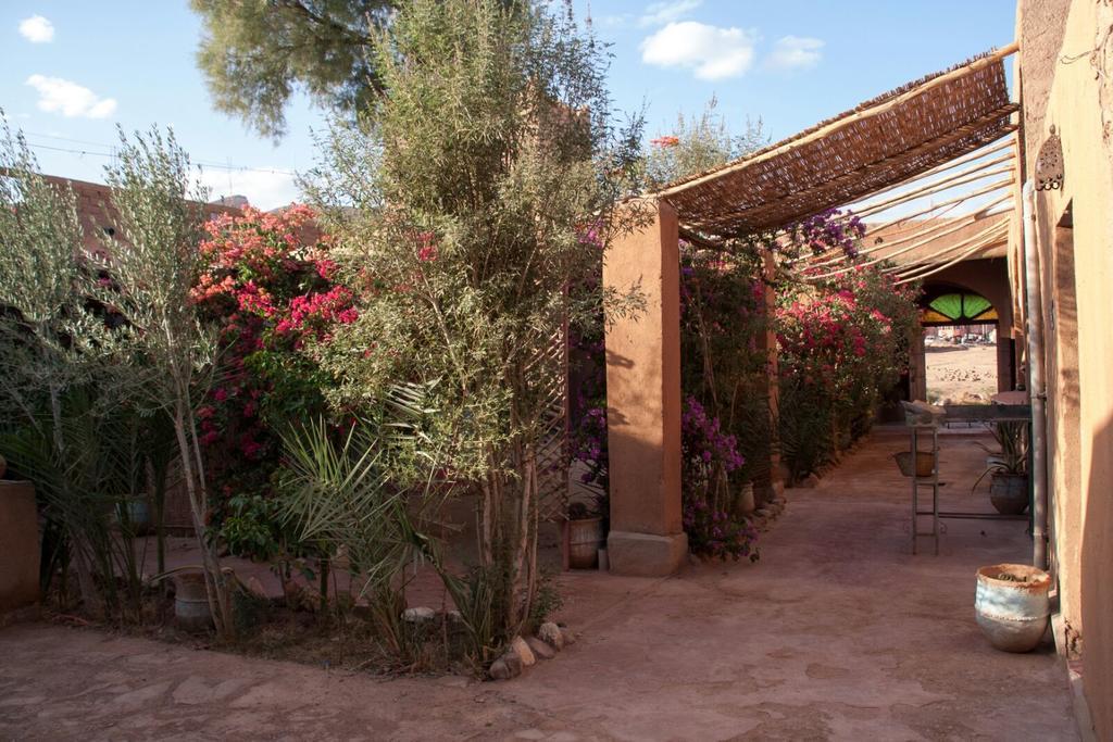 Auberge L'Oasis Foum Zguid Экстерьер фото