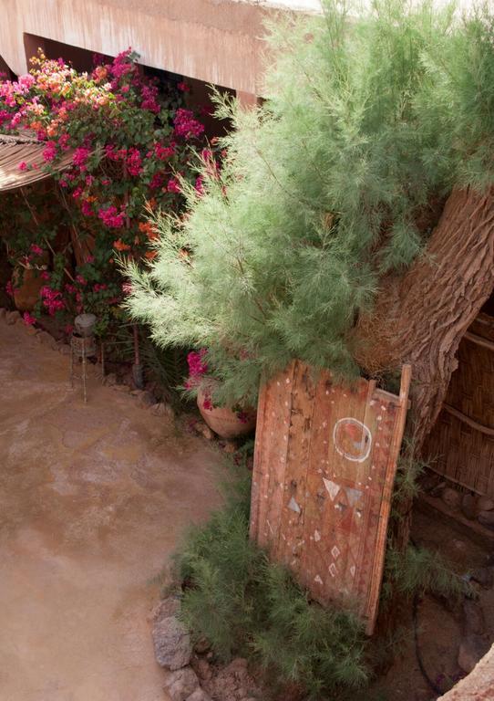 Auberge L'Oasis Foum Zguid Экстерьер фото